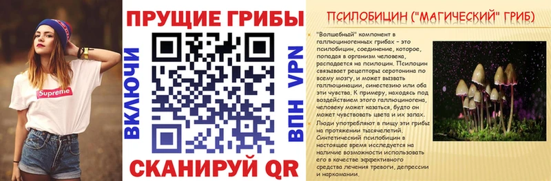 OMG как зайти  Ессентуки  Галлюциногенные грибы Psilocybe 